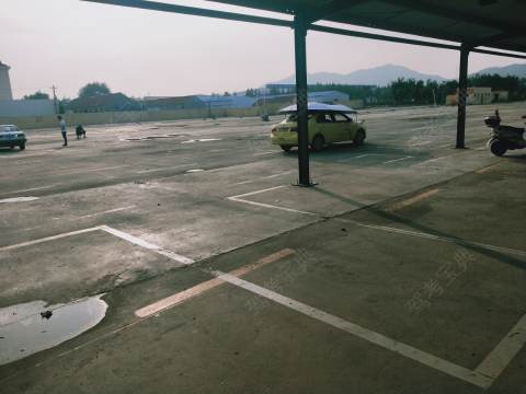 鲁通达驾校黄岛分校 